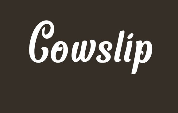 Cowslip Font Review: Soft Serif Elegance for Branding