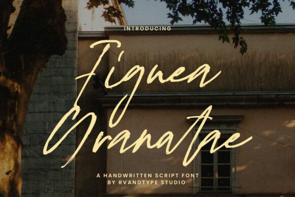 Figuea Granatae Font: Elevating Digital Brand Identity